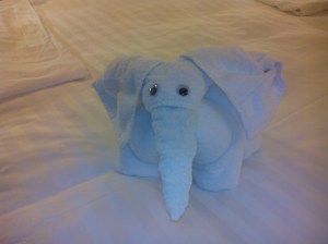 IMG_20140623_231619_1